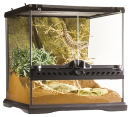 Terrarium kaufen